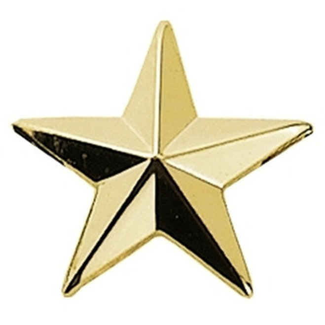 Hero's Pride Star Pin, Pairs - Post & Clutch Back Gold