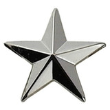 Hero's Pride Star Pin, Pairs - Post & Clutch Back Nickel